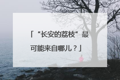 “长安的荔枝”最可能来自哪儿？