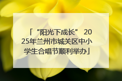 “阳光下成长” 2025年兰州市城关区中小学生合唱节顺利举办