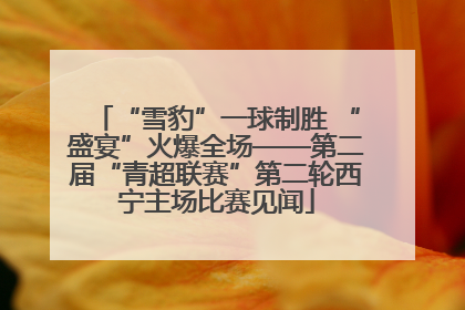 “雪豹”一球制胜 “盛宴”火爆全场——第二届“青超联赛”第二轮西宁主场比赛见闻
