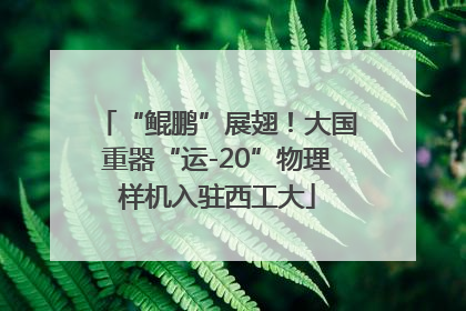 “鲲鹏”展翅！大国重器“运-20”物理样机入驻西工大