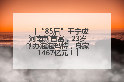 “85后”王宁成河南新首富，23岁创办泡泡玛特，身家1467亿元！