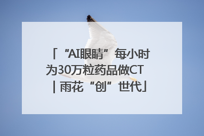 “AI眼睛”每小时为30万粒药品做CT｜雨花“创”世代