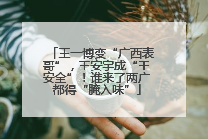 王一博变“广西表哥”，王安宇成“王安全”！谁来了两广都得“腌入味”
