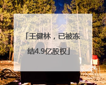 王健林，已被冻结4.9亿股权