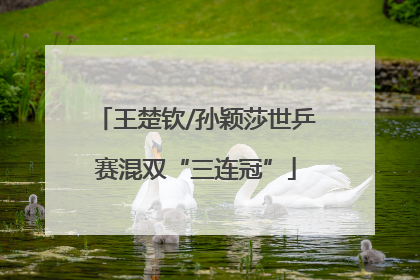 王楚钦/孙颖莎世乒赛混双“三连冠”