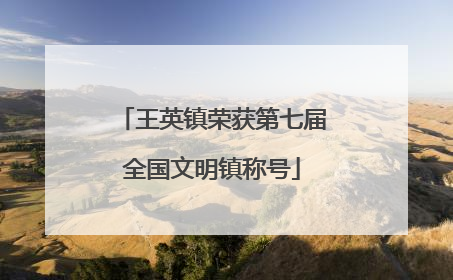 王英镇荣获第七届全国文明镇称号