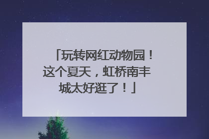 玩转网红动物园！这个夏天，虹桥南丰城太好逛了！