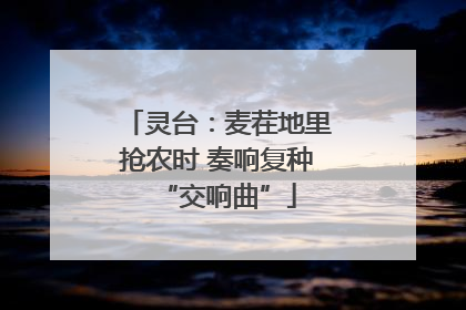 灵台：麦茬地里抢农时 奏响复种“交响曲”