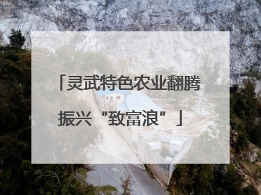 灵武特色农业翻腾振兴“致富浪”