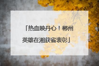 热血映丹心！郴州英雄在湘获省表彰