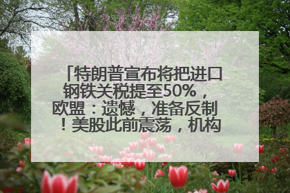 特朗普宣布将把进口钢铁关税提至50%，欧盟：遗憾，准备反制！美股此前震荡，机构：美元正进入熊市