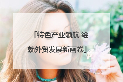 特色产业领航 绘就外贸发展新画卷