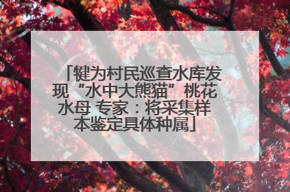 犍为村民巡查水库发现“水中大熊猫”桃花水母 专家：将采集样本鉴定具体种属