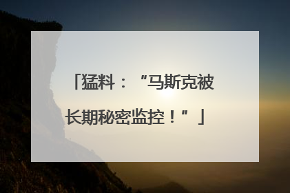 猛料：“马斯克被长期秘密监控！”