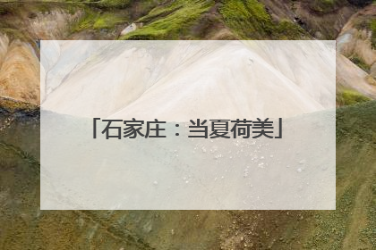 石家庄：当夏荷美