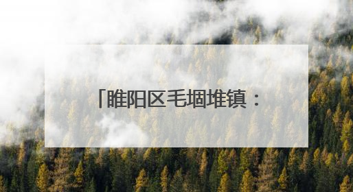 睢阳区毛堌堆镇：成立红娘工作室 架起青年“幸福桥”