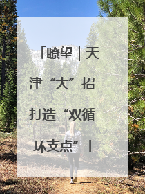 瞭望｜天津“大”招打造“双循环支点”