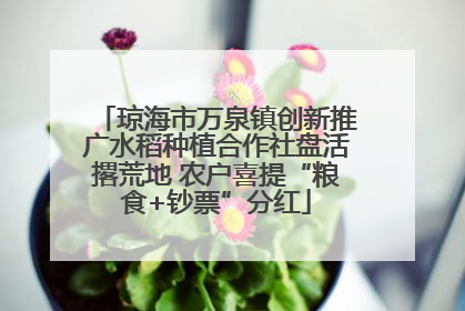 琼海市万泉镇创新推广水稻种植合作社盘活撂荒地 农户喜提“粮食+钞票”分红