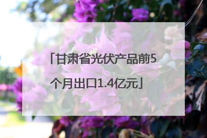 甘肃省光伏产品前5个月出口1.4亿元