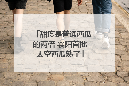 甜度是普通西瓜的两倍 襄阳首批太空西瓜熟了