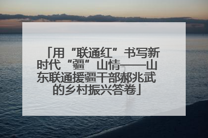 用“联通红”书写新时代“疆”山情——山东联通援疆干部郝兆武的乡村振兴答卷