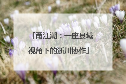 甬江潮：一座县域视角下的浙川协作