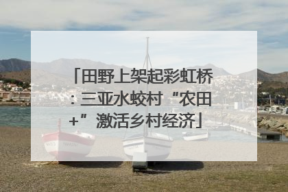 田野上架起彩虹桥：三亚水蛟村“农田+”激活乡村经济