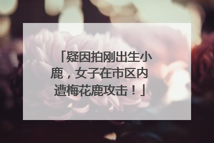 疑因拍刚出生小鹿，女子在市区内遭梅花鹿攻击！