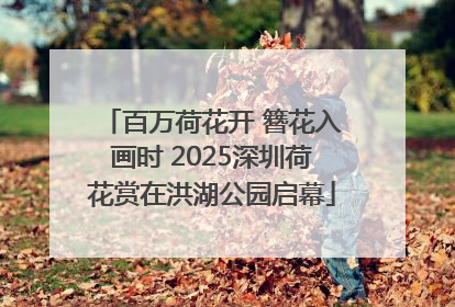百万荷花开 簪花入画时 2025深圳荷花赏在洪湖公园启幕