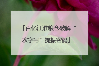 百亿江淮粮仓破解“农字号”提振密码