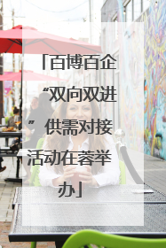 百博百企“双向双进”供需对接活动在蓉举办