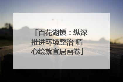 百花湖镇：纵深推进环境整治 精心绘就宜居画卷