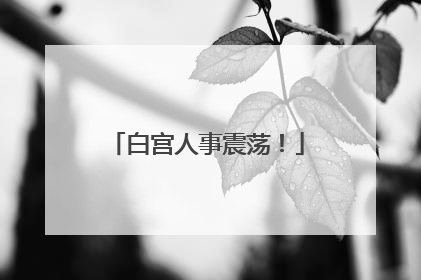 白宫人事震荡！