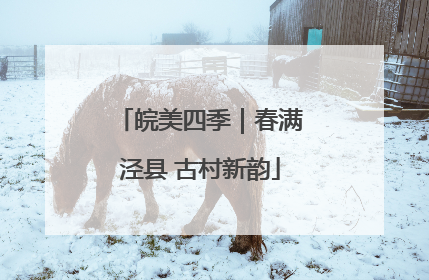 皖美四季｜春满泾县 古村新韵