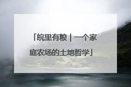 皖里有粮｜一个家庭农场的土地哲学