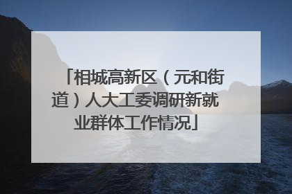 相城高新区（元和街道）人大工委调研新就业群体工作情况