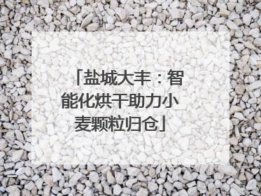 盐城大丰：智能化烘干助力小麦颗粒归仓