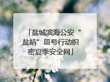 盐城滨海公安“盐靖”Ⅲ号行动织密夏季安全网