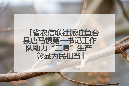 省农信联社派驻鱼台县唐马镇第一书记工作队助力“三夏”生产 彰显为民担当