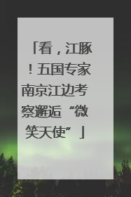 看，江豚！五国专家南京江边考察邂逅“微笑天使”