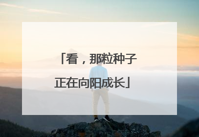 看，那粒种子正在向阳成长