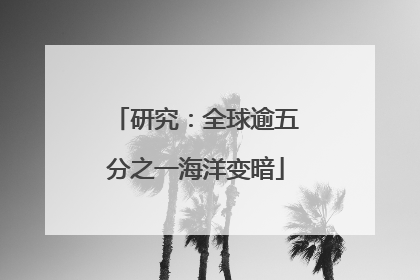 研究：全球逾五分之一海洋变暗