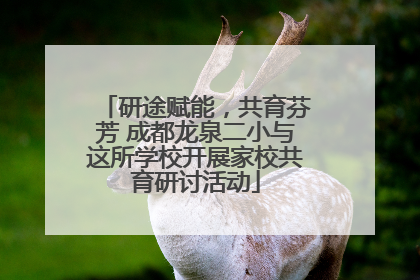 研途赋能，共育芬芳 成都龙泉二小与这所学校开展家校共育研讨活动