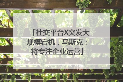 社交平台X突发大规模宕机，马斯克：将专注企业运营