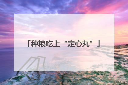 种粮吃上“定心丸”