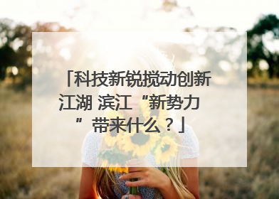 科技新锐搅动创新江湖 滨江“新势力”带来什么？