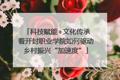 科技赋能+文化传承 看开封职业学院如何驱动乡村振兴“加速度”