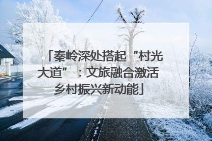 秦岭深处搭起“村光大道”：文旅融合激活乡村振兴新动能