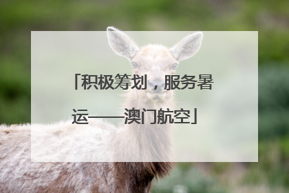 积极筹划，服务暑运——澳门航空