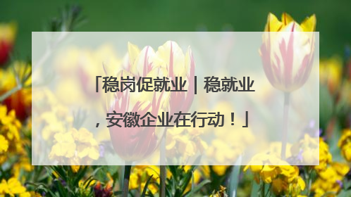 稳岗促就业｜稳就业，安徽企业在行动！